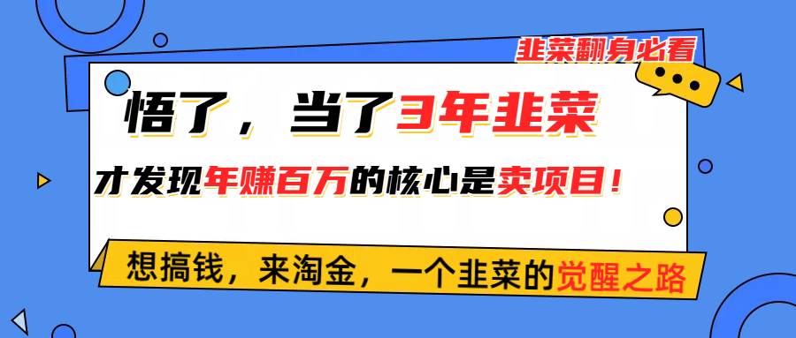 悟了，当了3年韭菜，才发现网赚圈年赚100万的核心是卖项目，含泪分享！-伊恩资源网