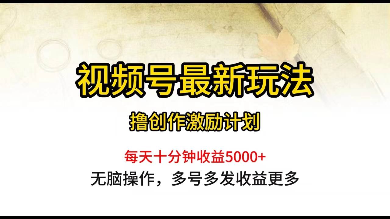 视频号最新玩法，每日一小时月入5000+-伊恩资源网