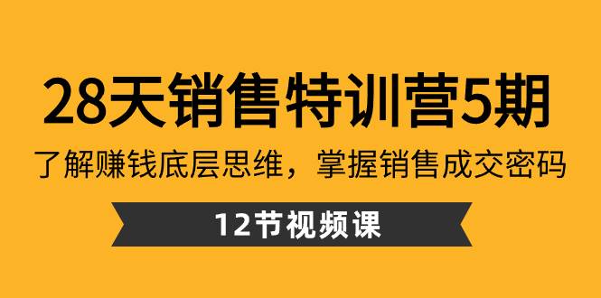 28天·销售特训营5期：了解赚钱底层思维，掌握销售成交密码（12节课）-伊恩资源网