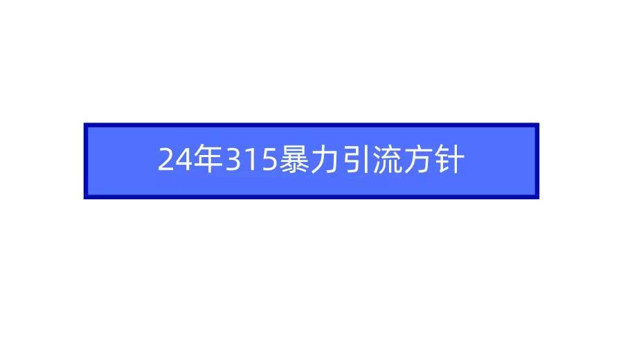 2024年315暴力引流方针-伊恩资源网