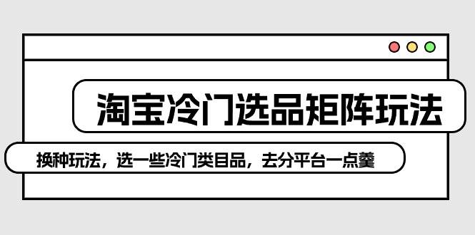 淘宝冷门选品矩阵玩法：换种玩法，选一些冷门类目品，去分平台一点羹-伊恩资源网