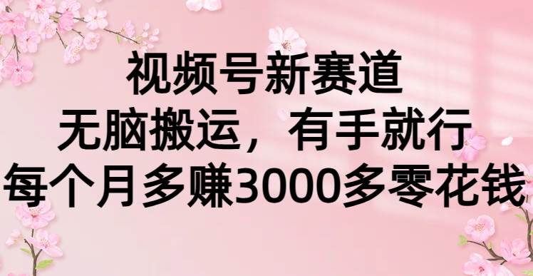 视频号新赛道，无脑搬运，有手就行，每个月多赚3000多零花钱-伊恩资源网