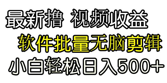 发视频撸收益，软件无脑批量剪辑，第一天发第二天就有钱-伊恩资源网