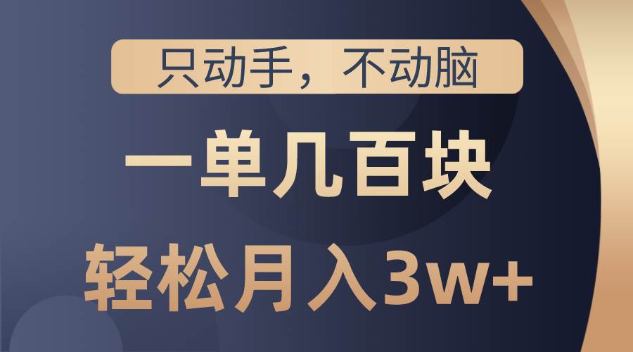 只动手不动脑，一单几百块，轻松月入3w+，看完就能直接操作，详细教程-伊恩资源网