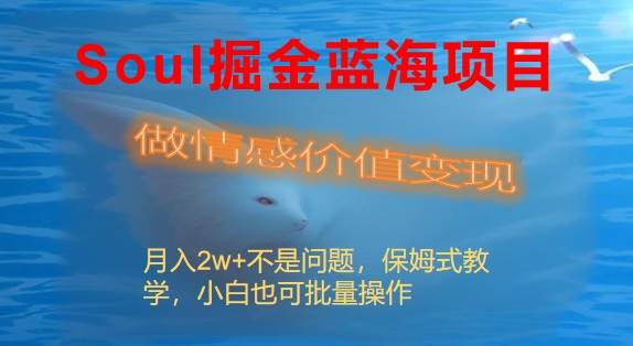 Soul掘金蓝海项目细分赛道，做情感价值变现，月入2w+不是问题-伊恩资源网