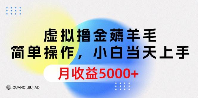 虚拟撸金薅羊毛，简单操作，小白当天上手，月收益5000+-伊恩资源网