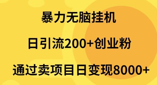 暴力无脑挂机日引流200+创业粉通过卖项目日变现2000+-伊恩资源网