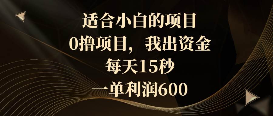 适合小白的项目，0撸项目，我出资金，每天15秒，一单利润600-伊恩资源网