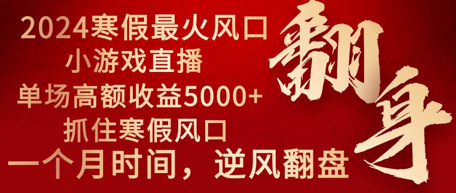 2024年最火寒假风口项目 小游戏直播 单场收益5000+抓住风口 一个月直接提车-伊恩资源网