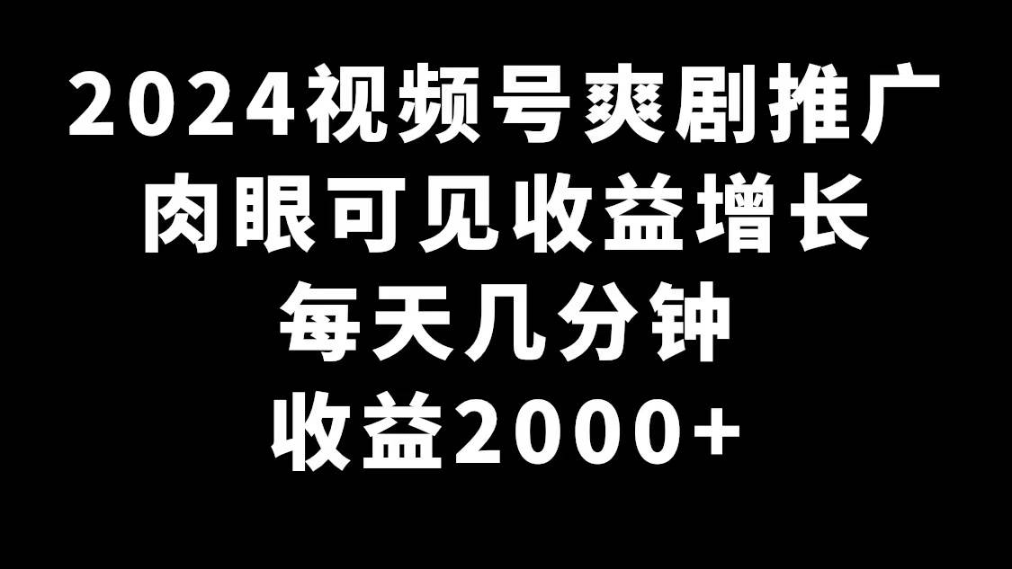 2024视频号爽剧推广，肉眼可见的收益增长，每天几分钟收益2000+-伊恩资源网