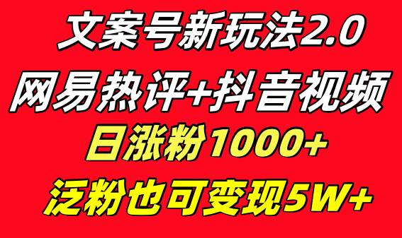 文案号新玩法 网易热评+抖音文案 一天涨粉1000+ 多种变现模式 泛粉也可变现-伊恩资源网