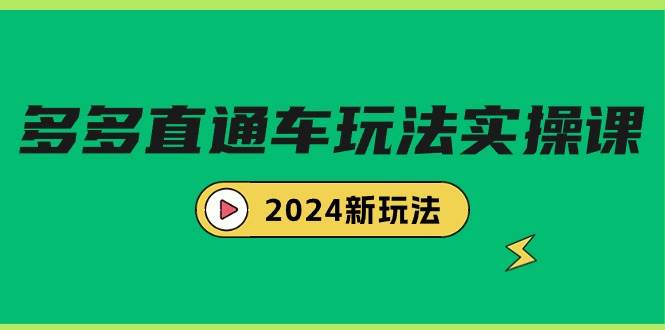 多多直通车玩法实战课，2024新玩法（7节课）-伊恩资源网