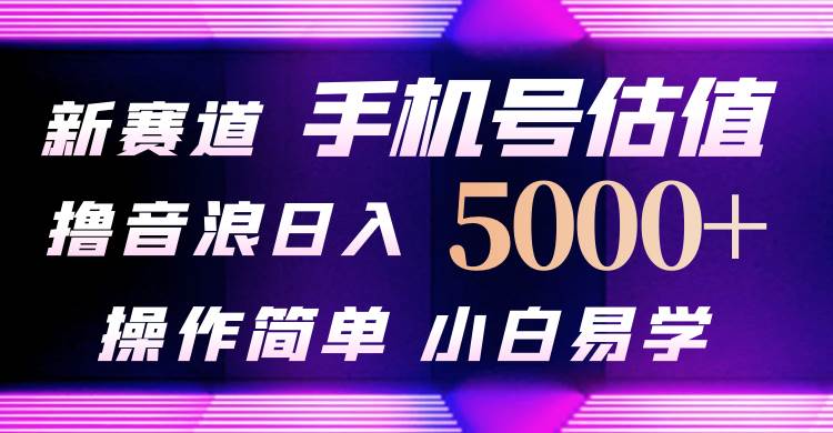 抖音不出境直播【手机号估值】最新撸音浪，日入5000+，简单易学，适合…-伊恩资源网