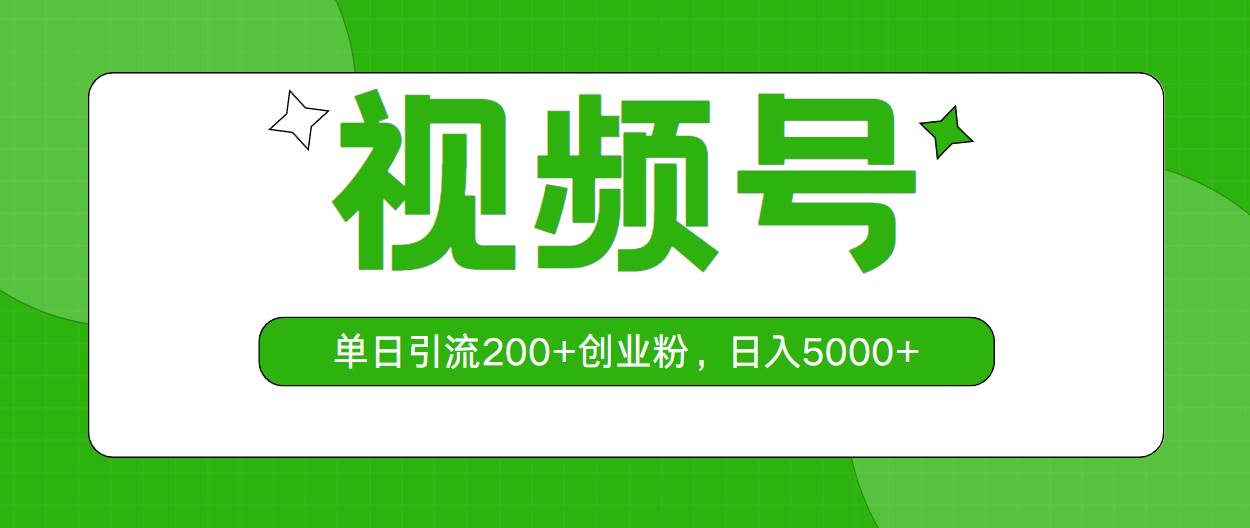 视频号，单日引流200+创业粉，日入5000+-伊恩资源网