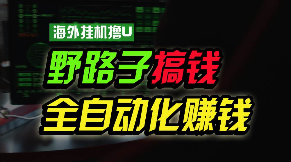 海外挂机撸U新平台，日赚8-15美元，全程无人值守，可批量放大，工作室内…-伊恩资源网