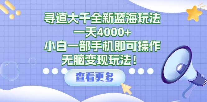 寻道大千全新蓝海玩法，一天4000+，小白一部手机即可操作，无脑变现玩法！-伊恩资源网