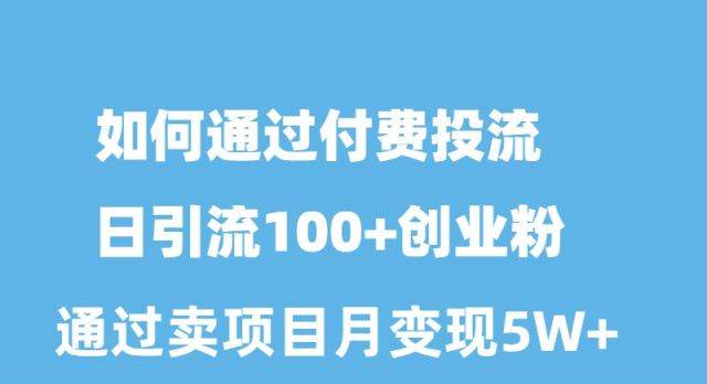 如何通过付费投流日引流100+创业粉月变现5W+-伊恩资源网