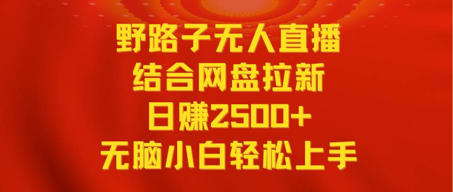 无人直播野路子结合网盘拉新，日赚2500+多平台变现，小白无脑轻松上手操作-伊恩资源网