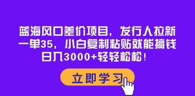 蓝海风口差价项目，发行人拉新，一单35，小白复制粘贴就能搞钱！日入3000+轻轻松松-伊恩资源网