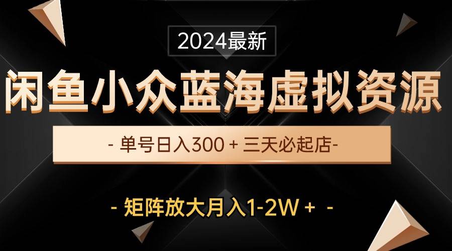 最新闲鱼小众蓝海虚拟资源，单号日入300＋，三天必起店，矩阵放大月入1-2W-伊恩资源网