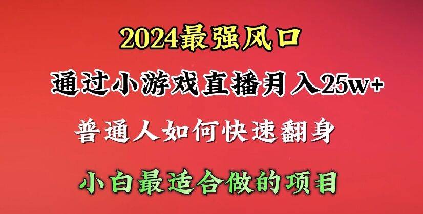 2024年最强风口，通过小游戏直播月入25w+单日收益5000+小白最适合做的项目-伊恩资源网