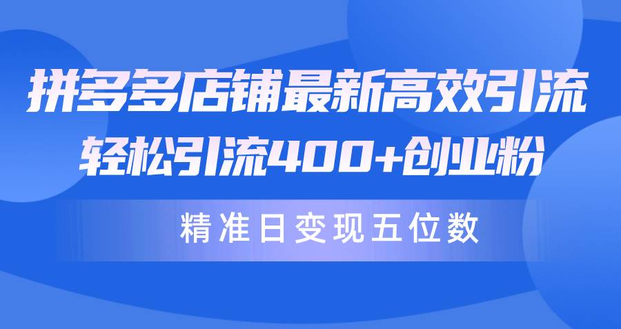 拼多多店铺最新高效引流术，轻松引流400+创业粉，精准日变现五位数！-伊恩资源网