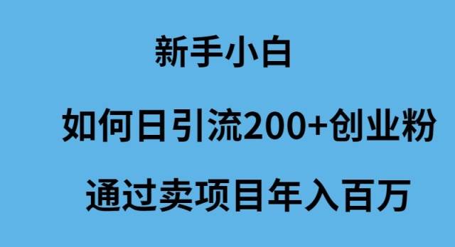 新手小白如何日引流200+创业粉通过卖项目年入百万-伊恩资源网