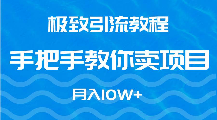 极致引流教程，手把手教你卖项目，月入10W+-伊恩资源网