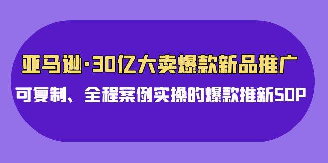 亚马逊30亿·大卖爆款新品推广，可复制、全程案例实操的爆款推新SOP-伊恩资源网