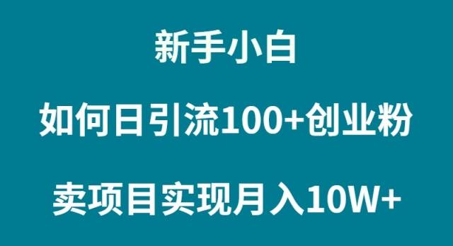 新手小白如何通过卖项目实现月入10W+-伊恩资源网