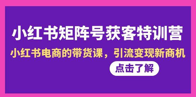 小红书-矩阵号获客特训营-第10期，小红书电商的带货课，引流变现新商机-伊恩资源网