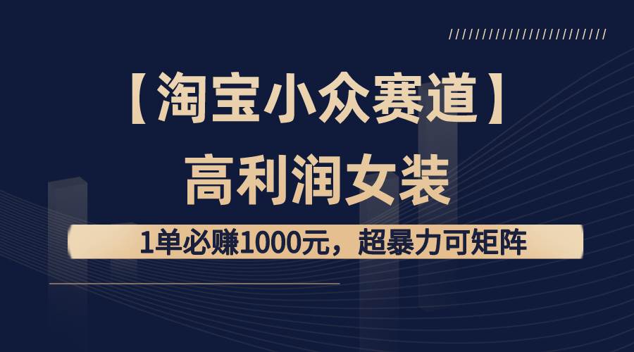 【淘宝小众赛道】高利润女装：1单必赚1000元，超暴力可矩阵-伊恩资源网