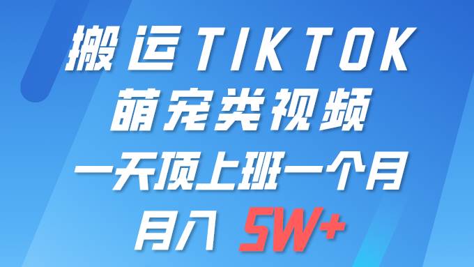 一键搬运TIKTOK萌宠类视频 一部手机即可操作 所有平台均可发布 轻松月入5W+-伊恩资源网