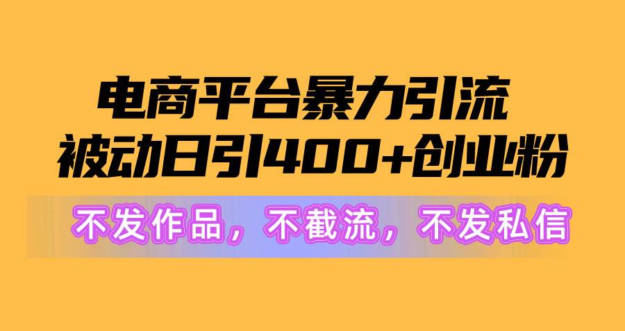 电商平台暴力引流,被动日引400+创业粉不发作品，不截流，不发私信-伊恩资源网