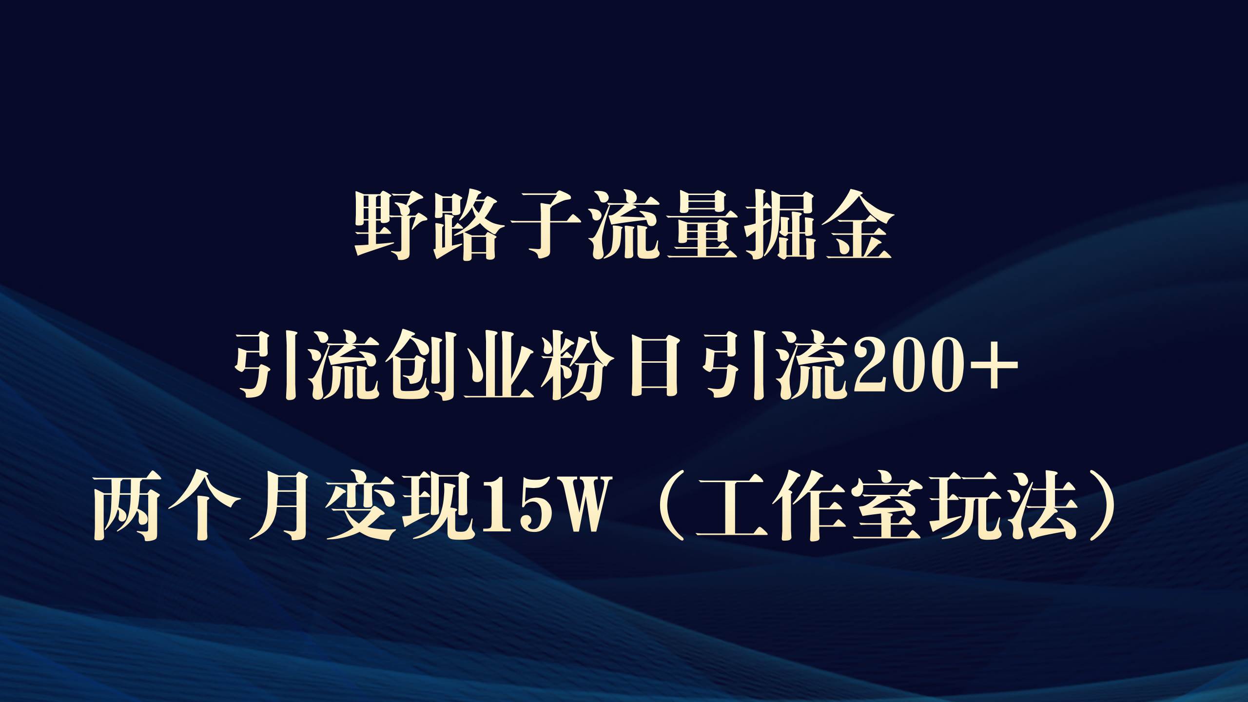 野路子流量掘金，引流创业粉日引流200+，两个月变现15W（工作室玩法））-伊恩资源网