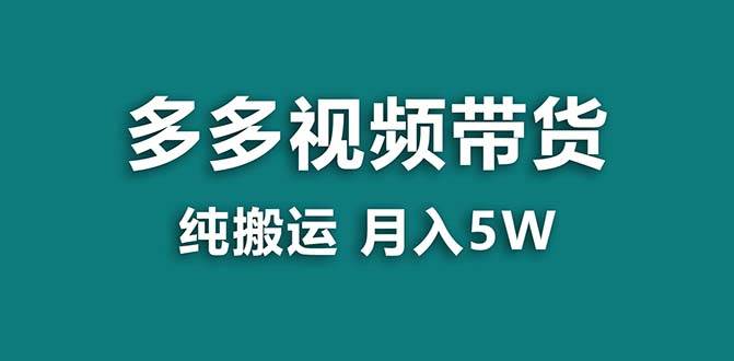 【蓝海项目】拼多多视频带货 纯搬运一个月搞了5w佣金，小白也能操作 送工具-伊恩资源网