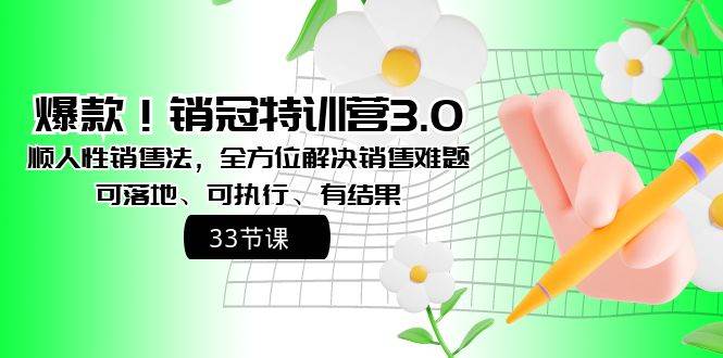 爆款！销冠特训营3.0之顺人性销售法，全方位解决销售难题、可落地、可执行、有结果-伊恩资源网