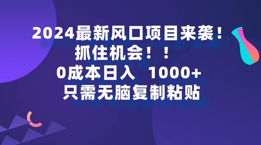 2024最新风口项目来袭，抓住机会，0成本一部手机日入1000+，只需无脑复…-伊恩资源网