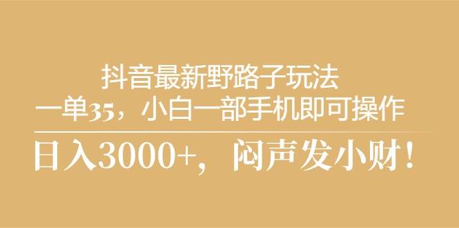 抖音最新野路子玩法，一单35，小白一部手机即可操作，，日入3000+，闷…-伊恩资源网