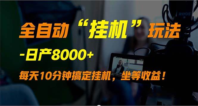 全自动“挂机”玩法，实现睡后收入，日产8000+-伊恩资源网