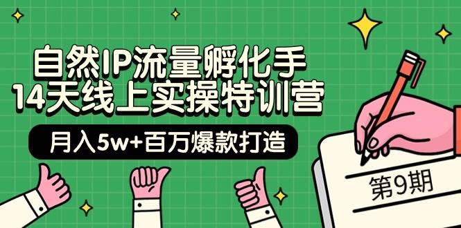 自然IP流量孵化手 14天线上实操特训营【第9期】月入5w+百万爆款打造 (74节)-伊恩资源网