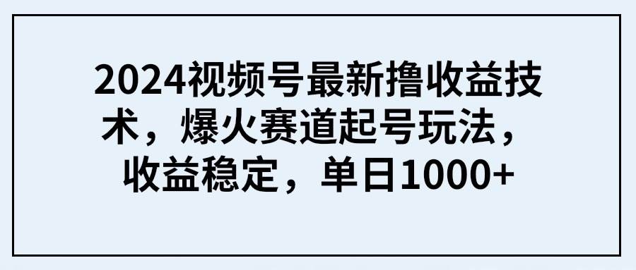 2024视频号最新撸收益技术，爆火赛道起号玩法，收益稳定，单日1000+-伊恩资源网