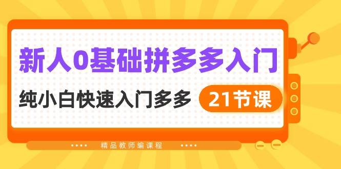 新人0基础拼多多入门，纯小白快速入门多多（21节课）-伊恩资源网