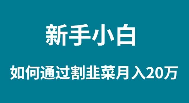 新手小白如何通过割韭菜月入 20W-伊恩资源网