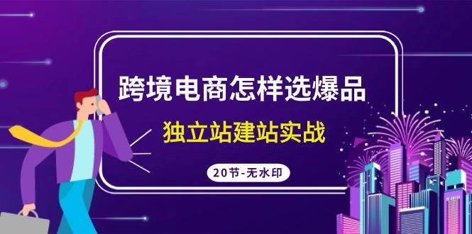 跨境电商怎样选爆品，独立站建站实战（20节高清无水印课）-伊恩资源网