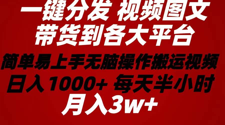 2024年 一键分发带货图文视频  简单易上手 无脑赚收益 每天半小时日入1…-伊恩资源网