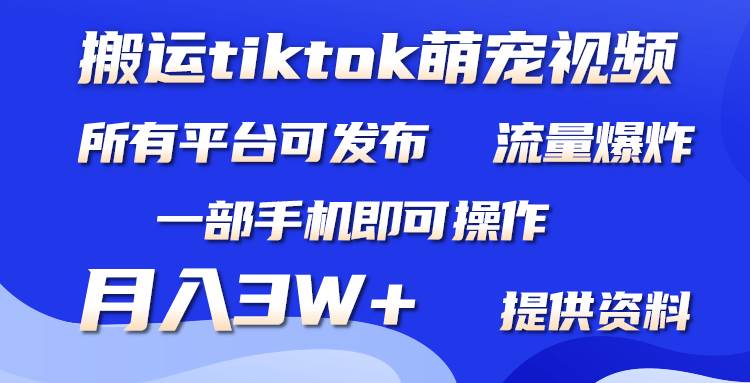 搬运Tiktok萌宠类视频，一部手机即可。所有短视频平台均可操作，月入3W+-伊恩资源网