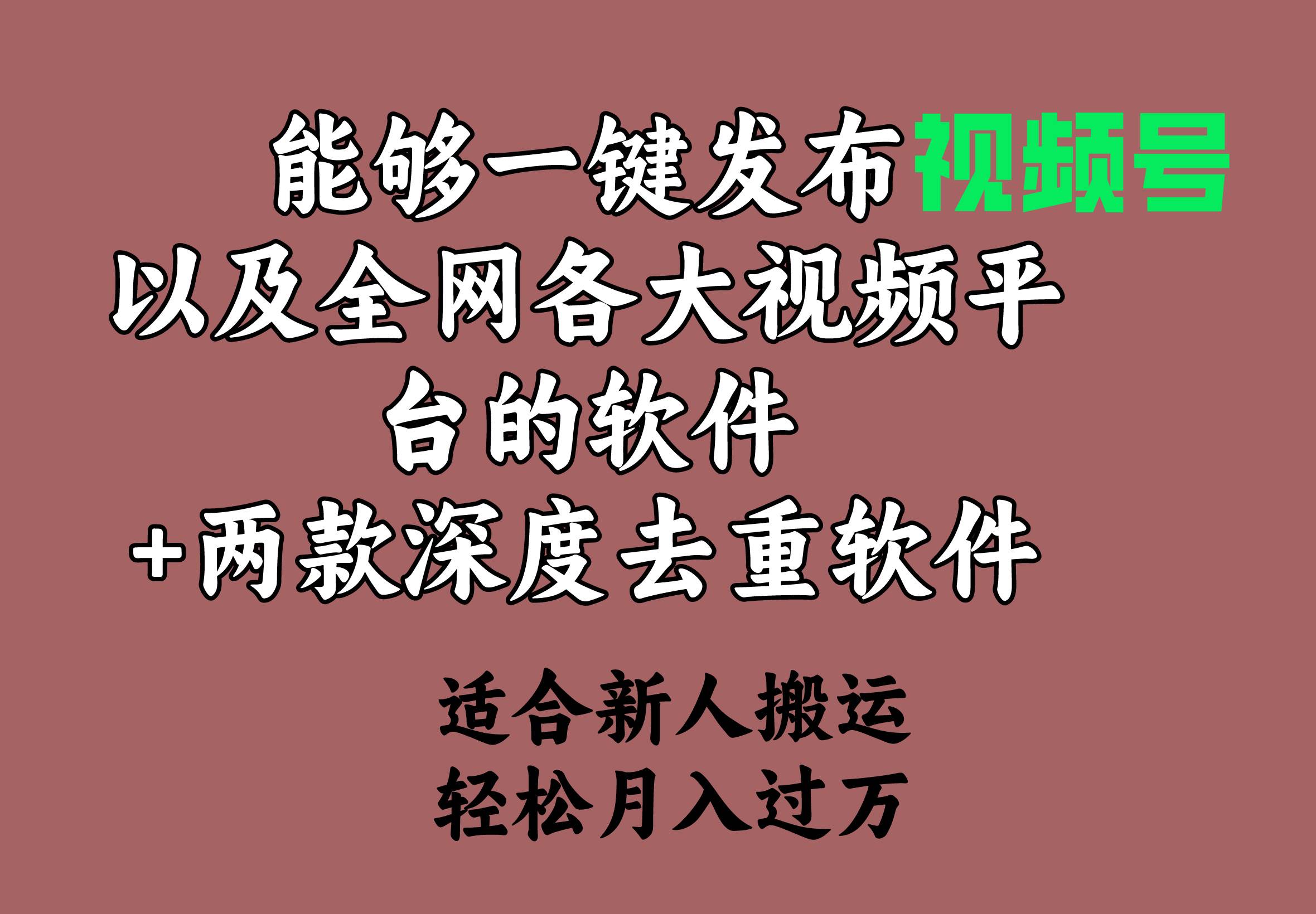 能够一键发布视频号以及全网各大视频平台的软件+两款深度去重软件 适合…-伊恩资源网