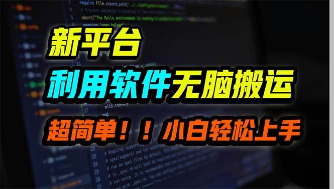 新平台用软件无脑搬运，月赚10000+，小白也能轻松上手-伊恩资源网