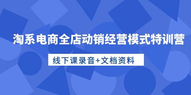 淘系电商全店动销经营模式特训营，线下课录音+文档资料-伊恩资源网